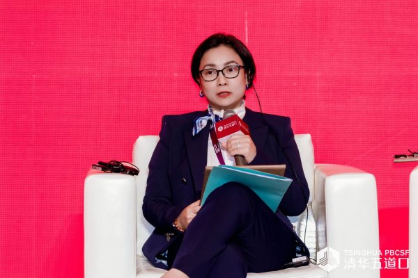 柬埔寨国家银行行长Chea Serey：普惠金融的真正起点不是信贷而是支付