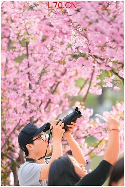 Colorwalk怎么火了 色彩漫步成春游新宠