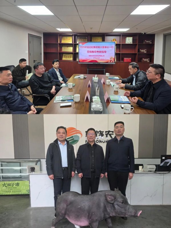 正虹科技董事长易兴赴长沙调研，共探生猪产业协同发展新路径