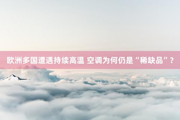 欧洲多国遭遇持续高温 空调为何仍是“稀缺品”？