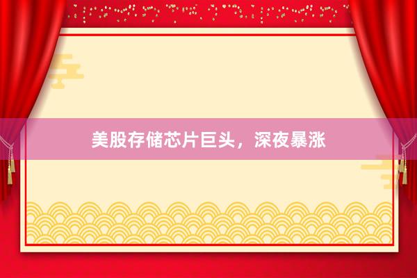 美股存储芯片巨头，深夜暴涨