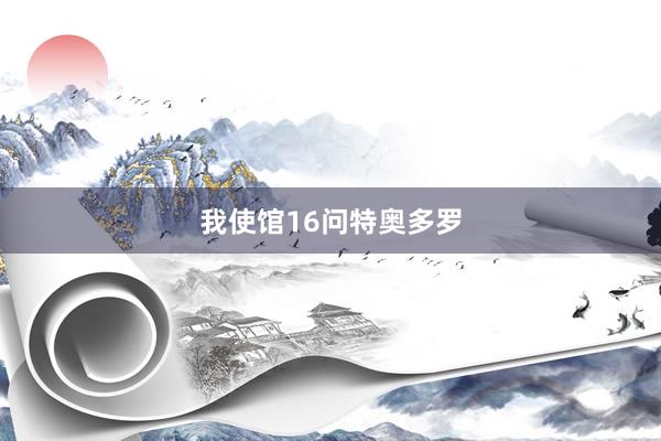 我使馆16问特奥多罗