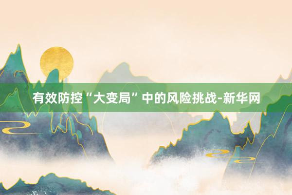 有效防控“大变局”中的风险挑战-新华网