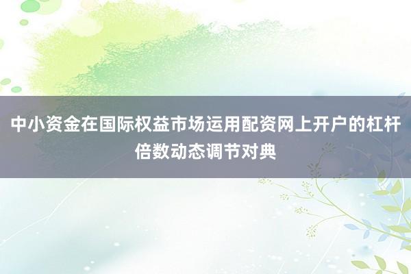 中小资金在国际权益市场运用配资网上开户的杠杆倍数动态调节对典