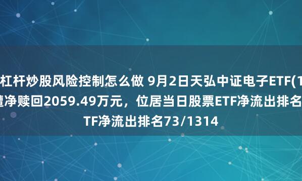 杠杆炒股风险控制怎么做 9月2日天弘中证电子ETF(159997)遭净赎回2059.49万元，位居当日股票ETF净流出排名73/1314