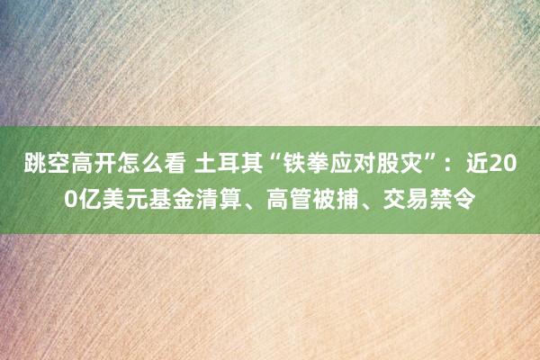 跳空高开怎么看 土耳其“铁拳应对股灾”：近200亿美元基金清算、高管被捕、交易禁令