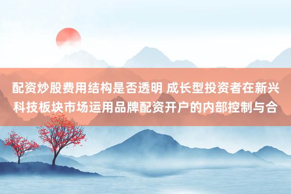 配资炒股费用结构是否透明 成长型投资者在新兴科技板块市场运用品牌配资开户的内部控制与合