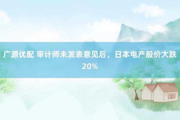 广源优配 审计师未发表意见后，日本电产股价大跌20%