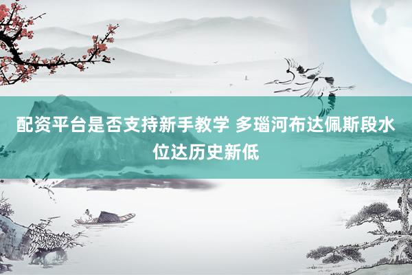 配资平台是否支持新手教学 多瑙河布达佩斯段水位达历史新低